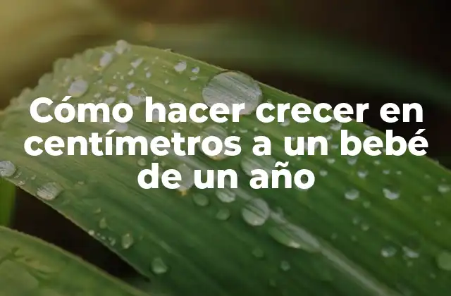 Cómo Hacer Crecer en Centímetros a un Bebé de un Año