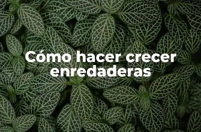 Cómo Hacer Crecer Enredaderas 2 Enredaderas: Qué son y para qué sirven