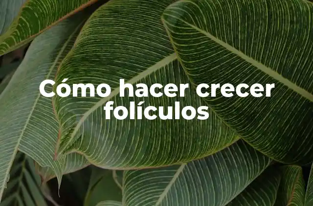 Cómo Hacer Crecer Folículos