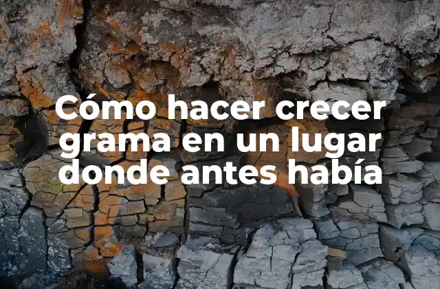 Cómo Hacer Crecer Grama en un Lugar Donde Antes Había