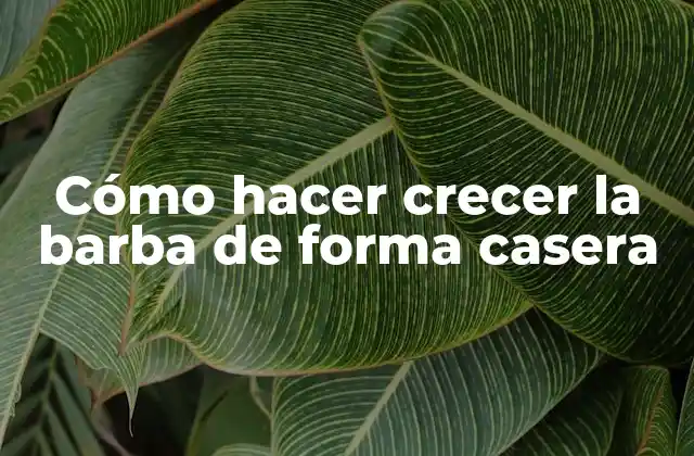 Cómo Hacer Crecer la Barba de Forma Casera