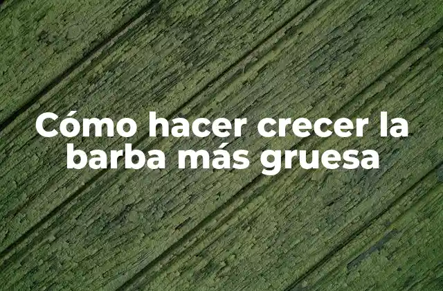 Cómo Hacer Crecer la Barba Más Gruesa