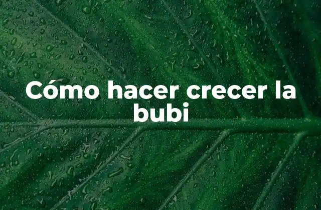 ¿Qué es una bubi y cómo se cuida?