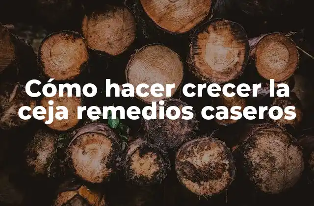 Cómo Hacer Crecer la Ceja Remedios Caseros