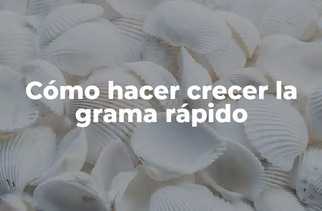 Cómo Hacer Crecer la Grama Rápido