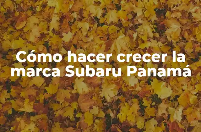 Cómo Hacer Crecer la Marca Subaru Panamá