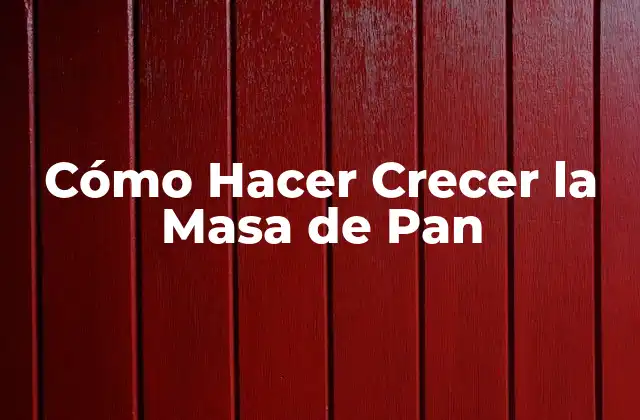 Cómo Hacer Crecer la Masa de Pan