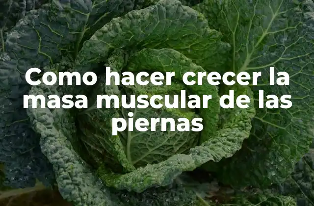 Como Hacer Crecer la Masa Muscular de las Piernas