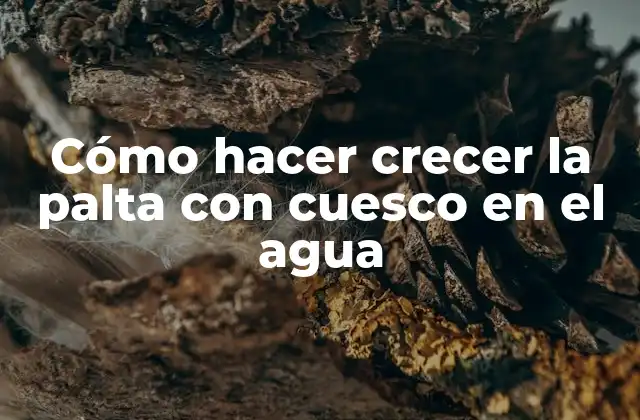 Cómo Hacer Crecer la Palta con Cuesco en el Agua