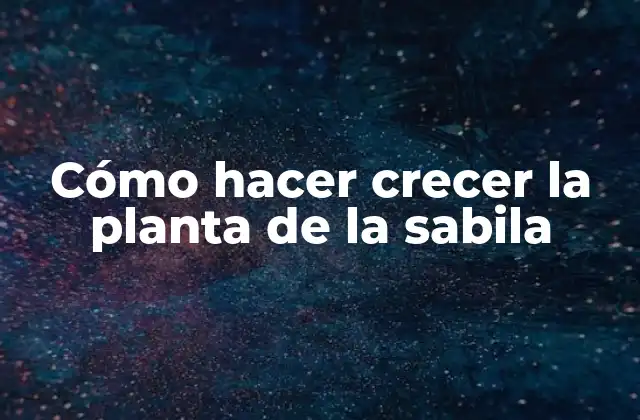 Cómo Hacer Crecer la Planta de la Sabila