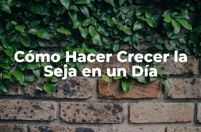 Cómo Hacer Crecer la Seja en un Día
