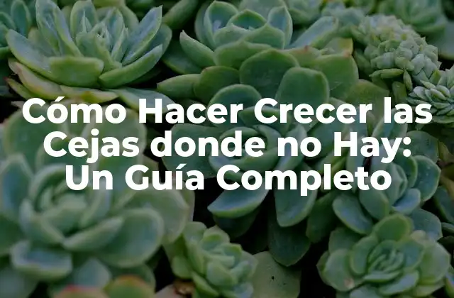 Cómo Hacer Crecer las Cejas Donde No Hay: un Guía Completo