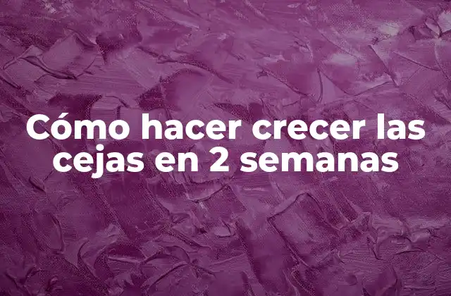 Cómo Hacer Crecer las Cejas en 2 Semanas