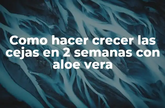 Como Hacer Crecer las Cejas en 2 Semanas con Aloe Vera