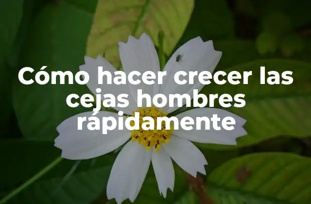 Cómo Hacer Crecer las Cejas Hombres Rápidamente