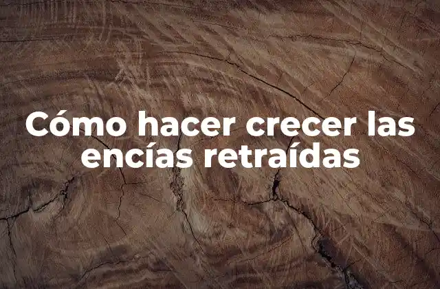 Cómo hacer crecer las encías retraídas