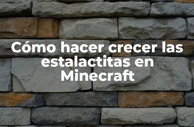 Cómo Hacer Crecer las Estalactitas en Minecraft
