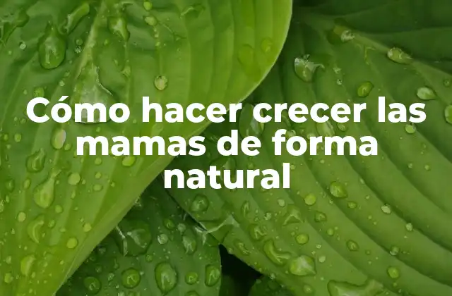 Cómo Hacer Crecer las Mamas de Forma Natural