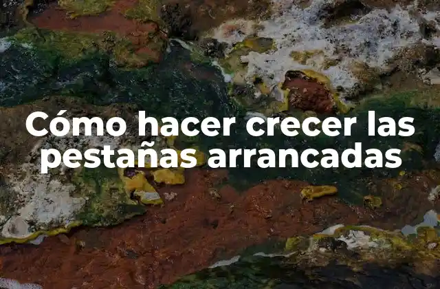 Cómo Hacer Crecer las Pestañas Arrancadas