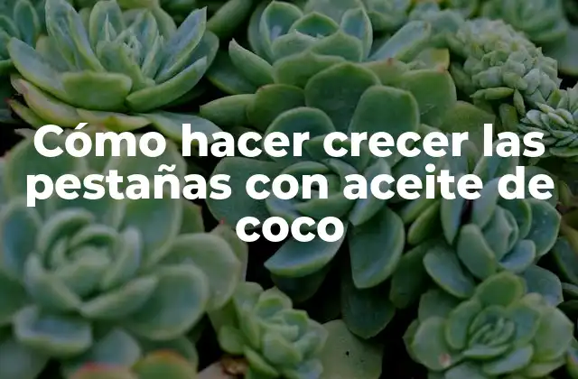 Cómo Hacer Crecer las Pestañas con Aceite de Coco