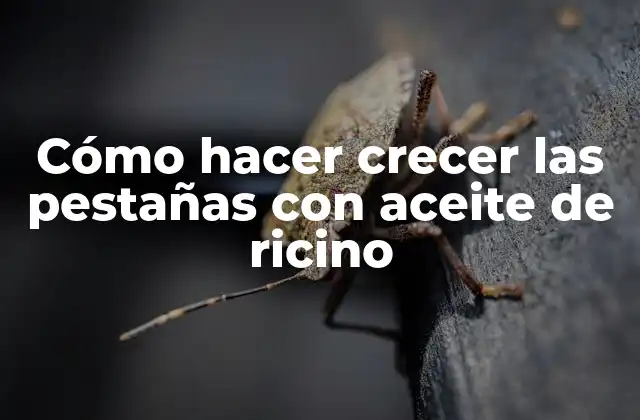 Cómo hacer crecer las pestañas con aceite de ricino