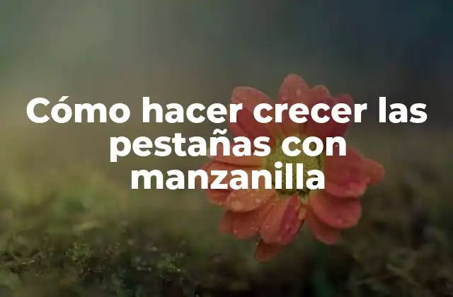Cómo Hacer Crecer las Pestañas con Manzanilla