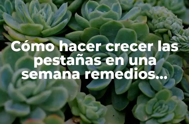 Cómo Hacer Crecer las Pestañas en una Semana Remedios Caseros