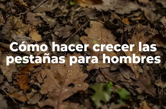 Cómo Hacer Crecer las Pestañas para Hombres