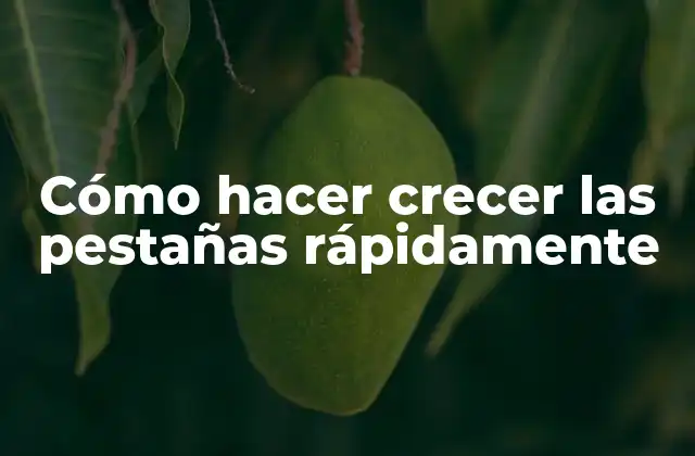 Cómo Hacer Crecer las Pestañas Rápidamente