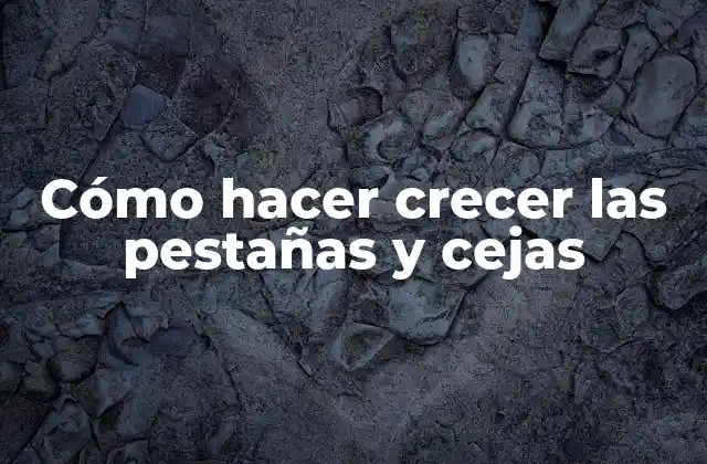 Cómo Hacer Crecer las Pestañas y Cejas