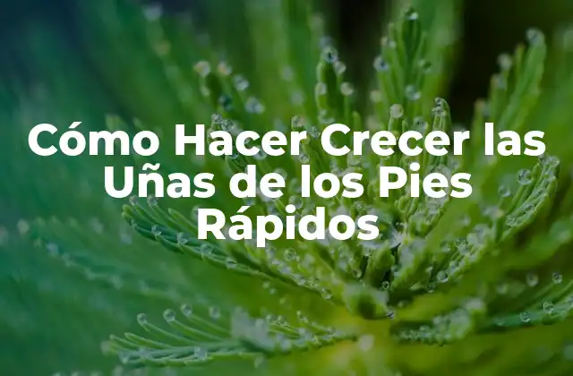 Cómo Hacer Crecer las Uñas de los Pies Rápidos