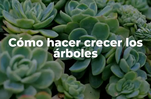 Cómo Hacer Crecer los Árboles 2 Cómo hacer crecer los árboles