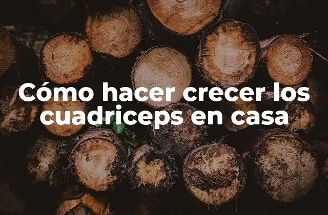 Cómo Hacer Crecer los Cuadriceps en Casa