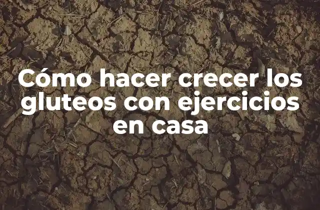 Cómo hacer crecer los gluteos con ejercicios en casa