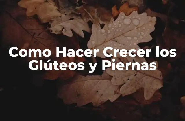 Como Hacer Crecer los Glúteos y Piernas