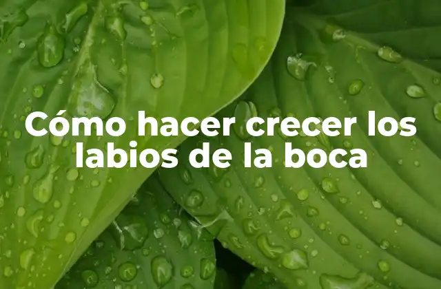 Cómo Hacer Crecer los Labios de la Boca