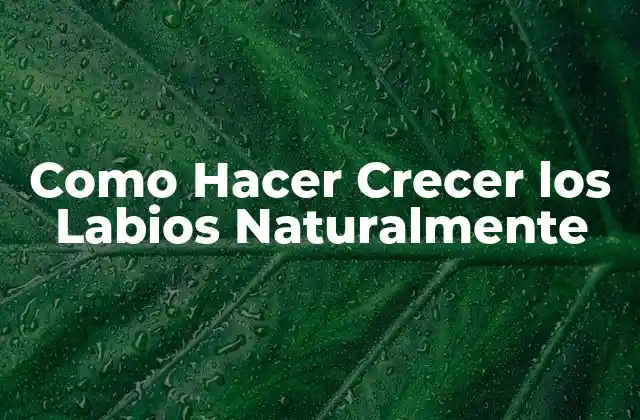 Como Hacer Crecer los Labios Naturalmente
