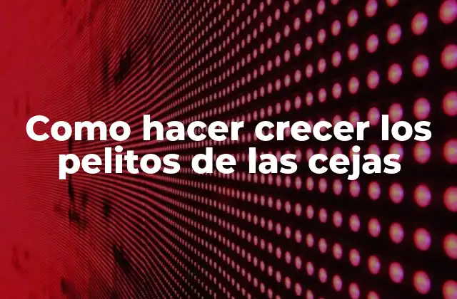 Como Hacer Crecer los Pelitos de las Cejas 2 Que son los pelitos de las cejas y cómo funcionan