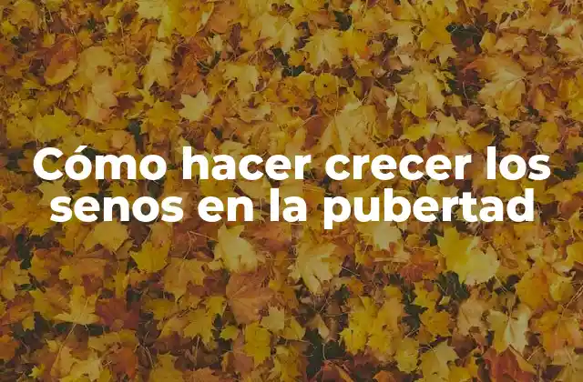 Cómo Hacer Crecer los Senos en la Pubertad