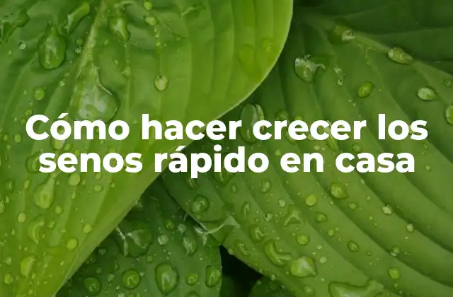 Cómo Hacer Crecer los Senos Rápido en Casa