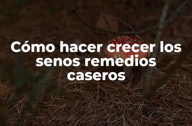 Cómo Hacer Crecer los Senos Remedios Caseros