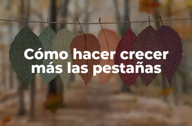 Cómo Hacer Crecer Más las Pestañas