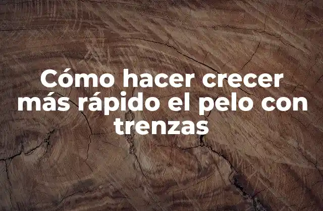 Cómo Hacer Crecer Más Rápido el Pelo con Trenzas