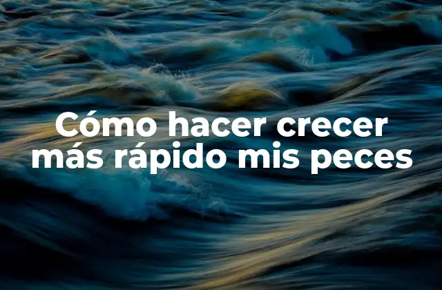 Cómo Hacer Crecer Más Rápido Mis Peces