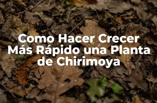 Como Hacer Crecer Más Rápido una Planta de Chirimoya