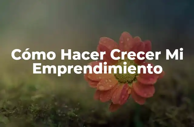 Cómo Hacer Crecer Mi Emprendimiento