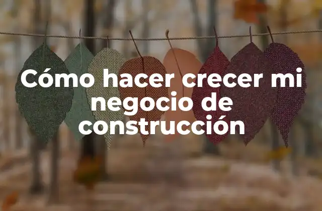 Cómo Hacer Crecer Mi Negocio de Construcción