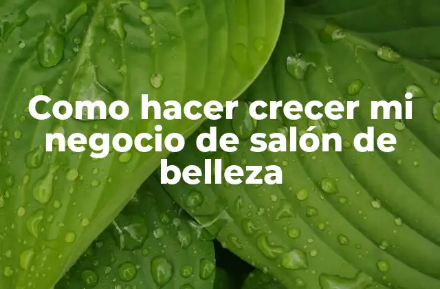 Como Hacer Crecer Mi Negocio de Salón de Belleza