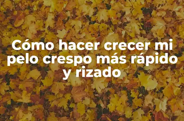 Cómo Hacer Crecer Mi Pelo Crespo Más Rápido y Rizado