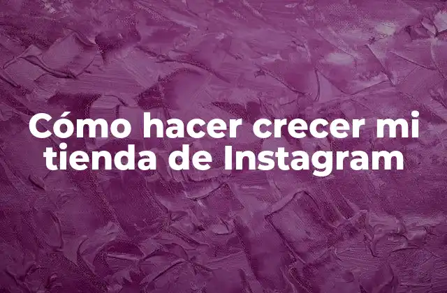 Cómo Hacer Crecer Mi Tienda de Instagram